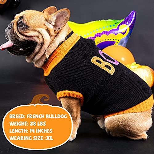 Cyeollo Sweater Sweater Dog Halloween