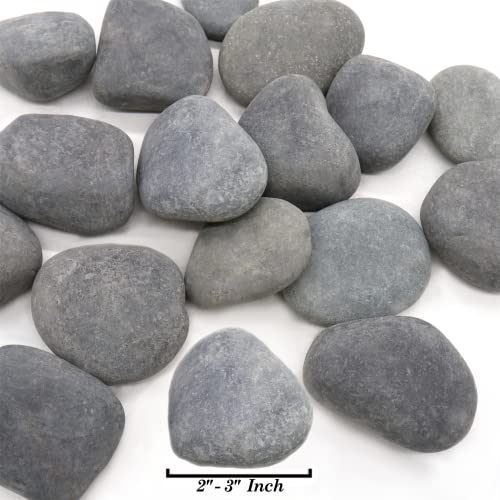 סלעים שחורים 2 - 3 אינץ', 5 פאונד. של טבעי לא מלוטש אבן חלוקי לצמחים, גנים, רוק ציור, גינון, בשרניים,