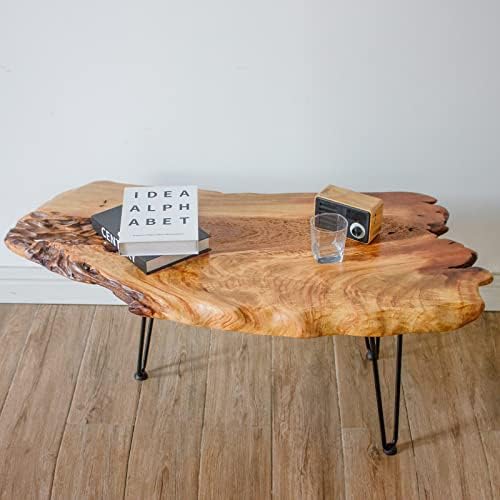 גדסולד טבעי עץ קפה שולחן, בעבודת יד לחיות קצה קפה שולחן עם מתכת סיכת ראש רגליים, 16 אינץ גבוה
