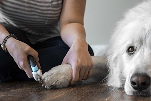 קוצץ ציפורניים לכלבים - קל לשימוש עבור שומר בטיחות מהיר בבית כדי למנוע חיתוך יתר וגוזם פצירה להחלקת